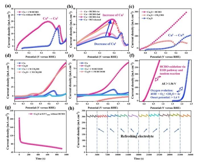 催化顶刊合集：EES、AM、AFM、Adv. Sci.、Small、JEM、CEJ等成果！