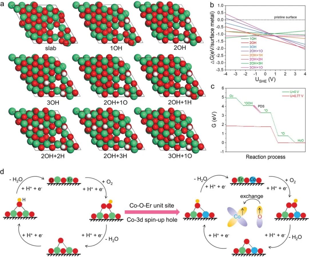 催化顶刊合集：JACS、ACS Catalysis、AM、AEM、CEJ、Small等成果！