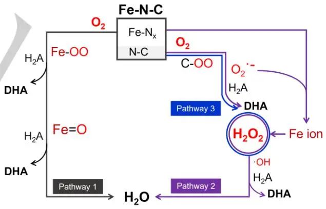 东南大学张袁健/沈艳飞Angew.：Fe-N-C纳米酶的Fe浸出和氧还原选择性研究