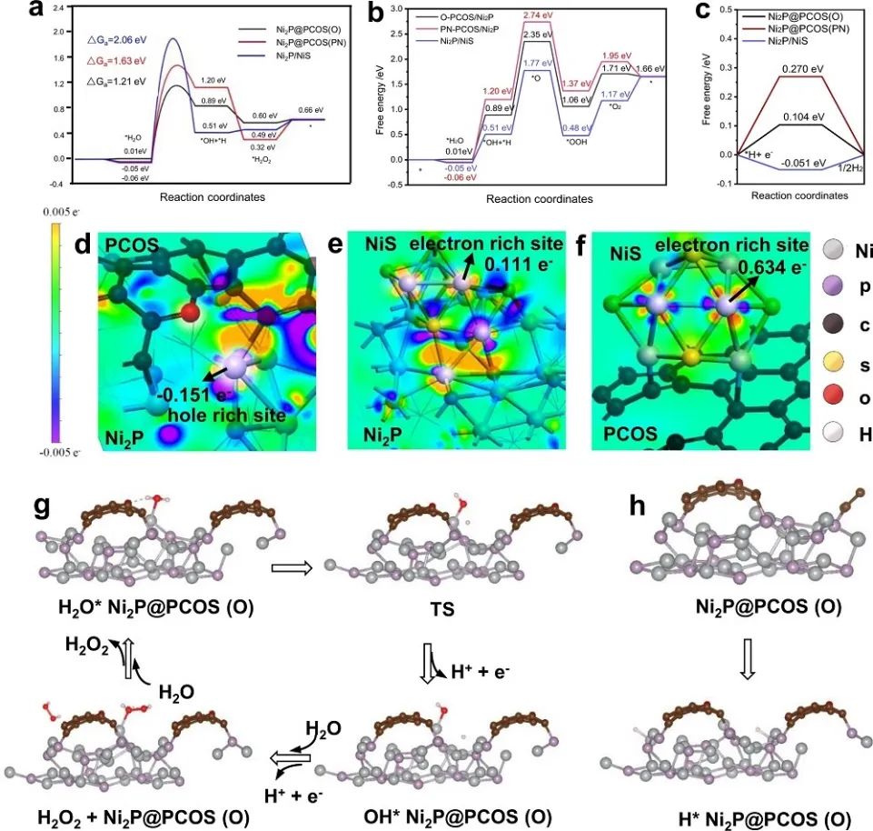 杨贵东Nature子刊：Ni2P/NiS@PCOS实现高效光催化整体水分解