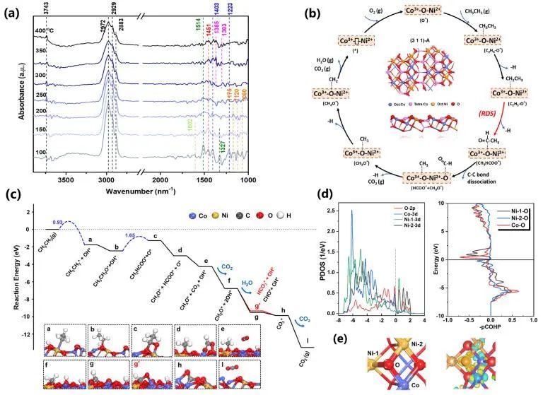 催化顶刊集锦：JACS、Angew、ACS Catal.、AFM、Adv. Sci.、Nano Lett.、Small等