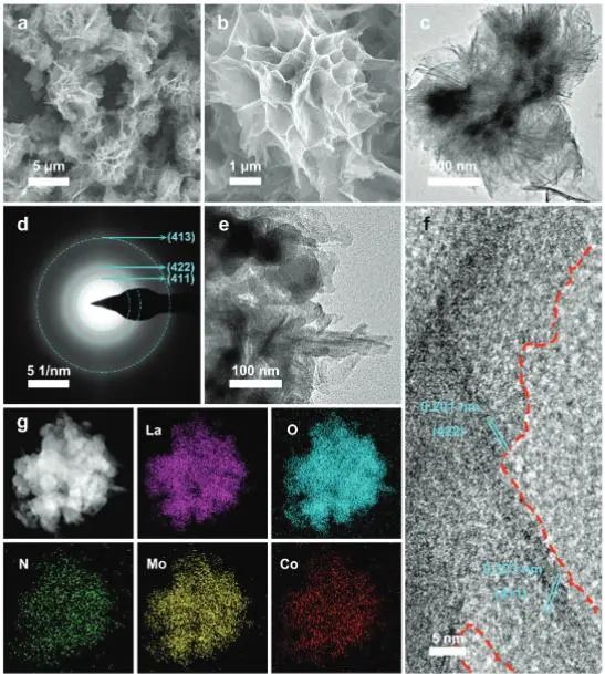 催化顶刊集锦：JACS、Angew、ACS Catal.、AFM、Adv. Sci.、Nano Lett.、Small等