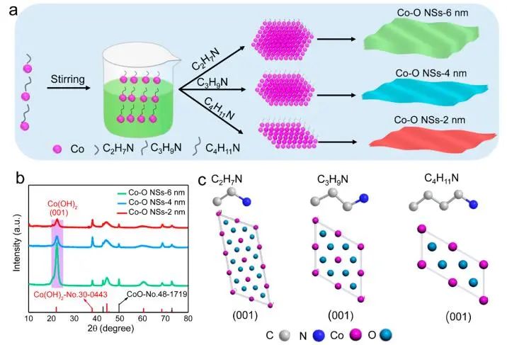 黄小青/卜令正/李雷刚ACS Nano：烷胺限制策略起大作用，调控Co(OH)2-CoO厚度以实现高效析氧