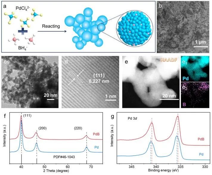 催化顶刊集锦：Angew.、JACS、AM、AFM、Small等成果精选！