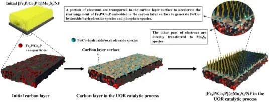 催化顶刊速递：JACS、AFM、AM、Appl. Catal. B.、CEJ等成果集锦！