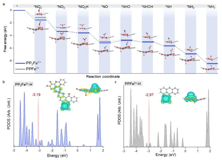 计算文献速递：Nature Catalysis、EES、JACS、Chem、EnSM、Nat. Commun.等！