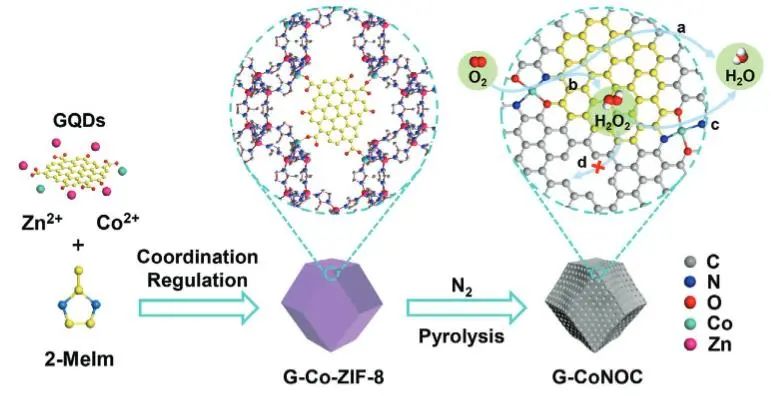 催化顶刊集锦：JACS、Nature子刊、ACS Catal.、AFM、Small、Carbon Energy等最新成果！