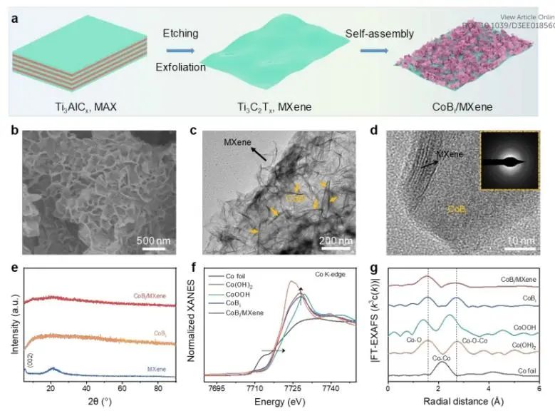 催化顶刊速递：Nature Catalysis、EES、Nature子刊、Angew、Sci. Adv.、ACS Nano等成果