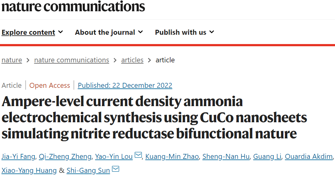 孙世刚院士/楼耀尹Nature子刊：FE近100%！CuCo纳米片实现安培级电合成氨