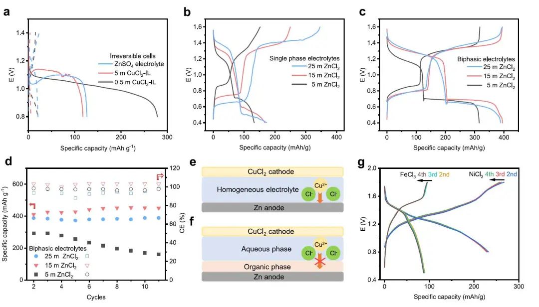 湖大梁宵教授Nature子刊：通过双相电解质中的氯化物穿梭分解可充电锌铜电池