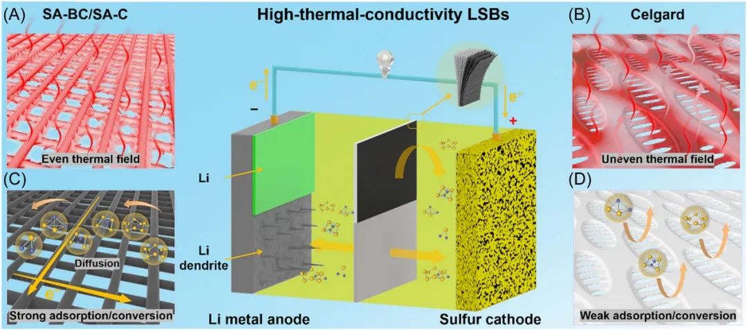 ​姚亚刚Carbon Energy：“三合一”隔膜：散热、抑制穿梭效应、缓解枝晶生长！