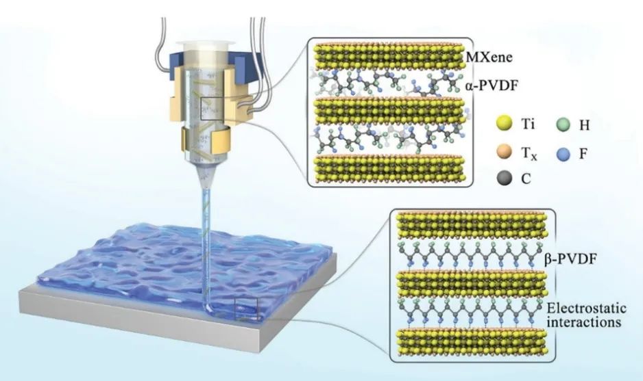 张一洲/董升阳/庞欢AFM：3D打印MXene基铁电聚合物改善锌离子电池性能