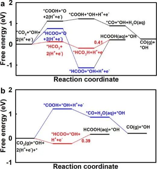 中科大穆杨/王功名ACS Catal.: 表面非共价相互作用调节CO2的电化学质子化行为