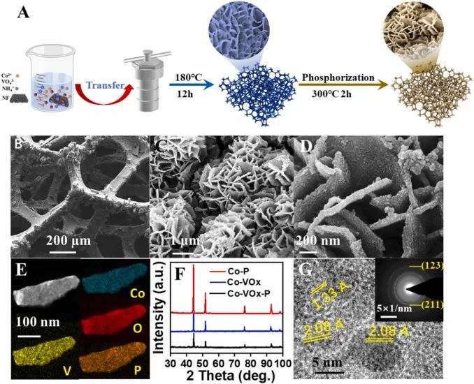 8篇催化顶刊：Angew.、AFM、Small、Chem. Eng. J.、ACS Catal.等最新成果