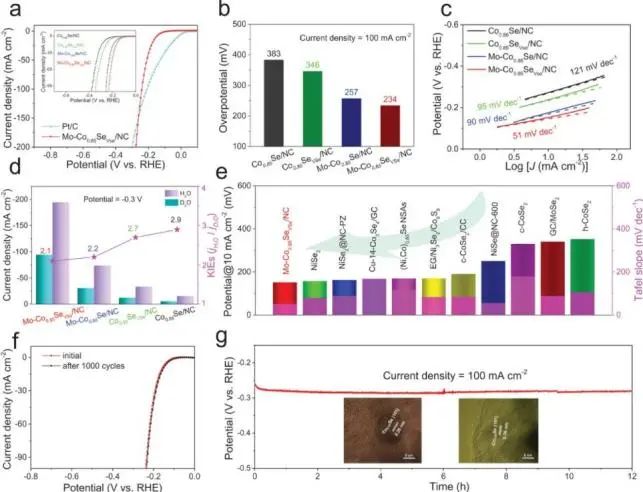 侯阳/戴黎明AFM: 先计算再实验！富电子Co位点加速水离解动力学以实现高效碱性HER