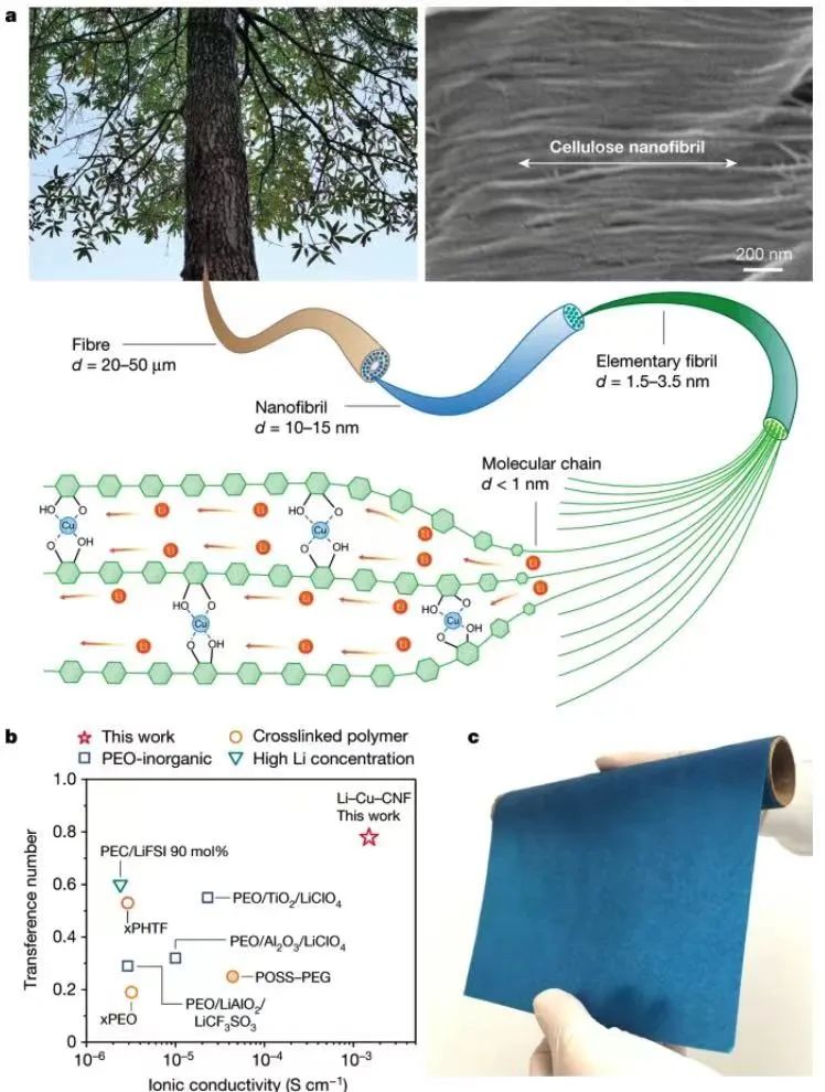 电池快充突破！Nature、Science重磅报道！