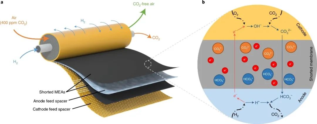 最新Nature Energy：近100% CO2去除率！短路膜EDCS助力HEMFCs