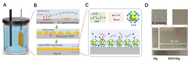 上海交大杨晓伟AM：无缺陷MOF膜实现高稳定镁金属负极