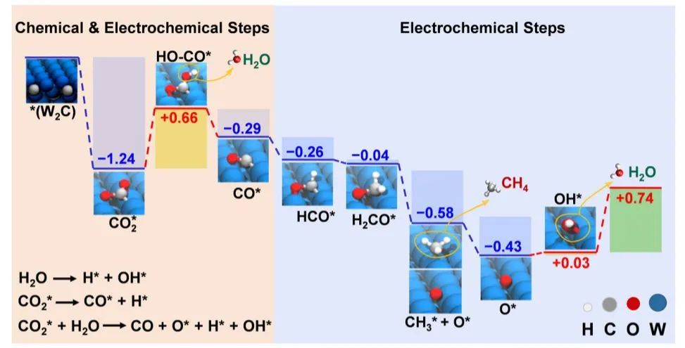 Nature子刊: 具有类金活性和类铜选择性的过渡金属碳化物用于电催化CO2还原