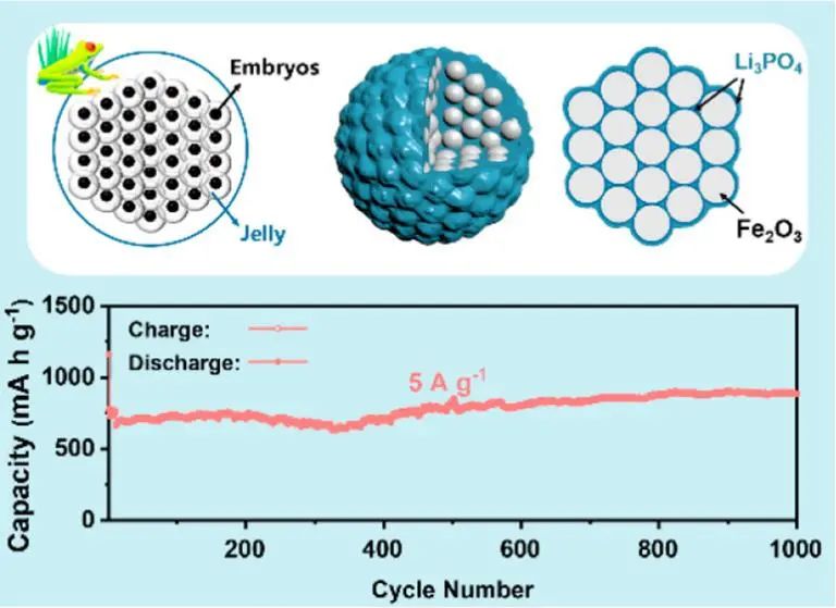 北大黄富强教授ACS Nano: 受蛙卵启发的用于稳健锂存储的通用策略