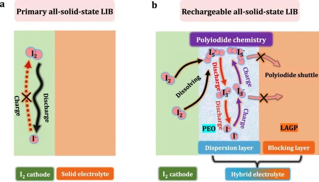 周豪慎/何平Nature子刊：全固态可充电Li-I2电池，可循环9000次！