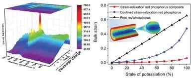 麦立强/吴劲松/罗雯AEM: 用于非水系钾电池的应变松弛红磷自支撑负极