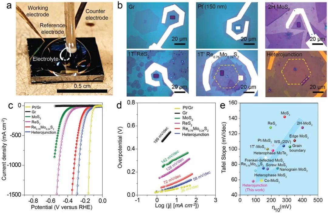 催化顶刊集锦：AFM、JMCA、AEM、AM、ACS Catalysis、Small等成果