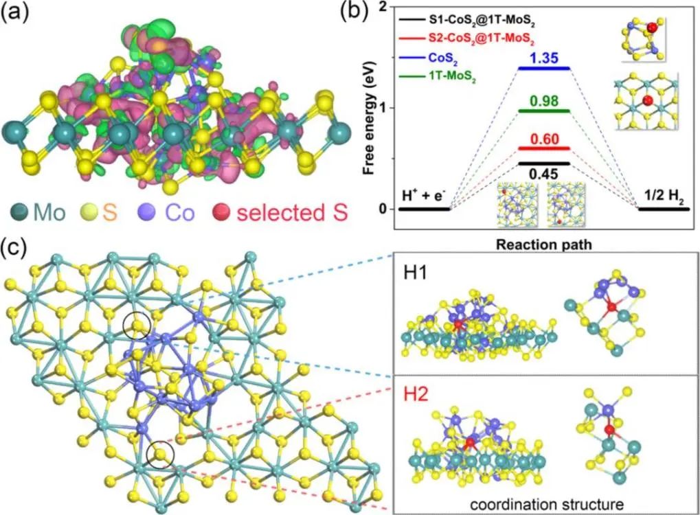 催化顶刊集锦：ACS Catalysis、Small、Nano Energy、NML、Appl. Catal. B.等成果