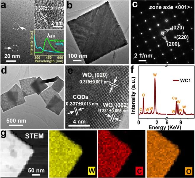 催化顶刊集锦：AFM、Appl. Catal. B.、Small、EnSM、Chem. Eng. J.等最新成果