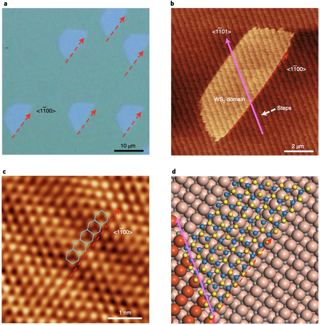 突破！北京大学Nature Nanotech.首次实现晶圆尺寸的单晶TMD生长！