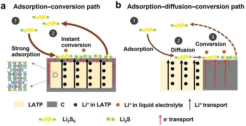 孙学良院士/贺艳兵AM：电子和离子共导电催化剂实现多硫化锂的瞬时转化