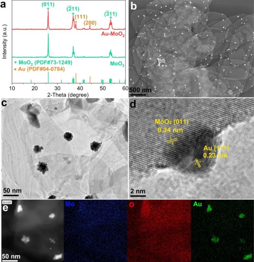 刘宏/周伟家Nano Energy: Au-MoO2异质结纳米片上Au-O键的强耦合来等离子体增强HER动力学