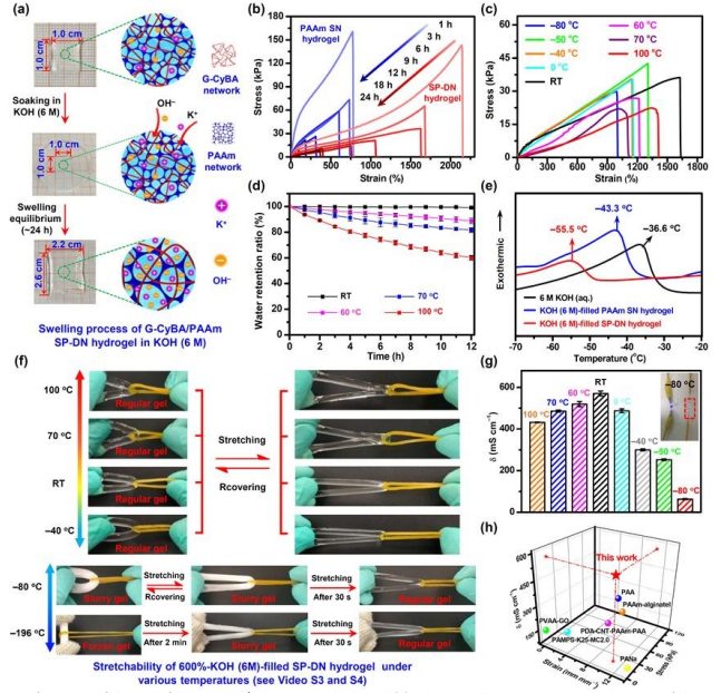 EES：-50到100°C！小分子基超分子聚合物双网络水凝胶电解质