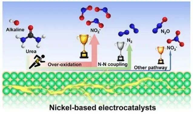 8篇催化顶刊集锦：AFM、Nano Lett.、ACS Catal.、Chem. Eng. J.等成果