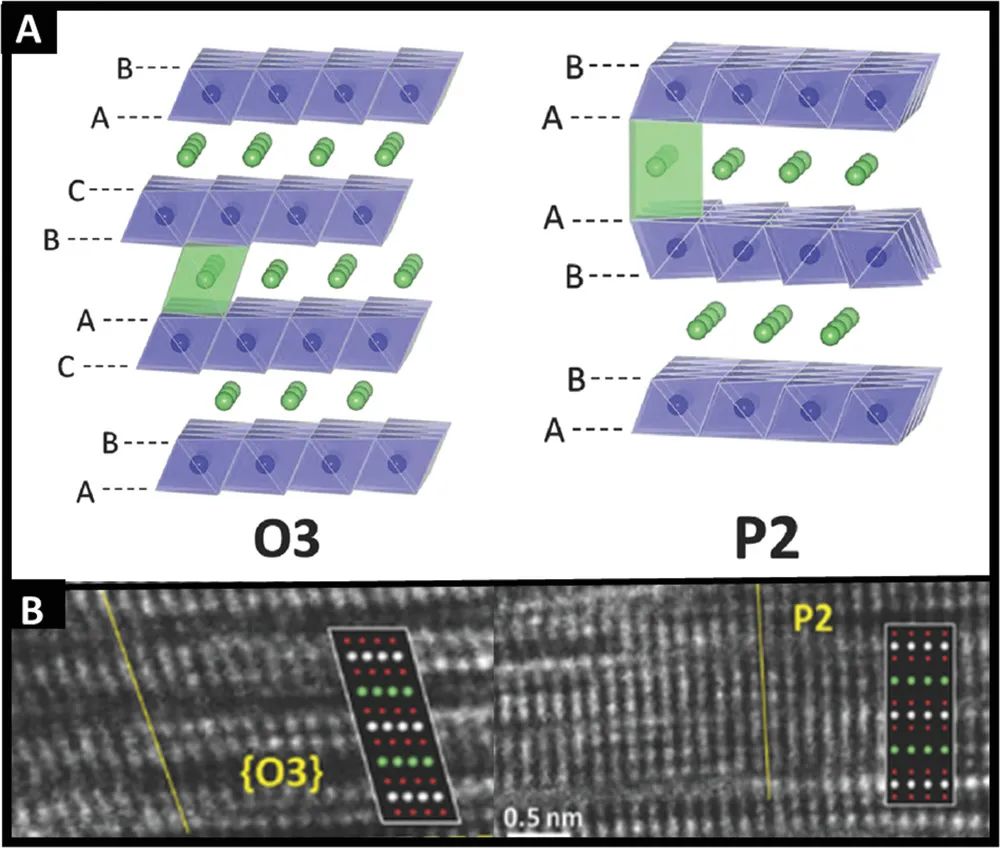 AFM：ACoxMnyNizO2和金属氧化物作为金属离子电池通用正极材料