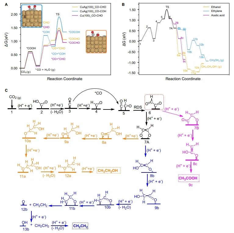 ​催化顶刊集锦：Nature子刊、Angew、AFM、ACS Nano、ACS Energy Lett.等成果