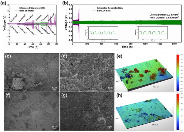 中科院物理所Nano Energy丨一体化结构的水系锌离子电池