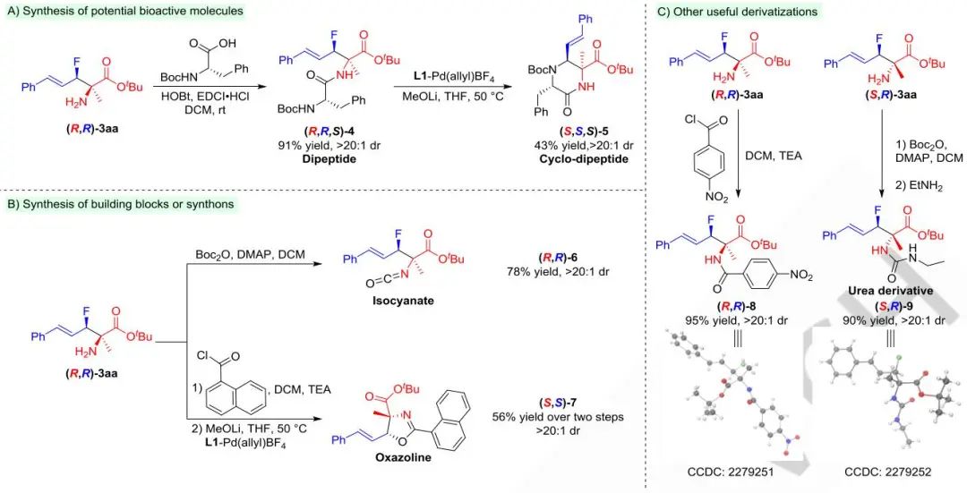 上交张万斌团队​Angew：Pd/Cu/Li三元体系助力合成氟化氨基酸！