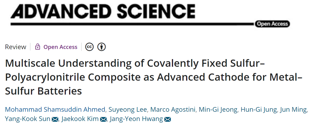 全南大学/汉阳大学Adv. Sci.: 共价固定硫聚丙烯腈复合材料作为金属硫电池先进正极的多尺度理解