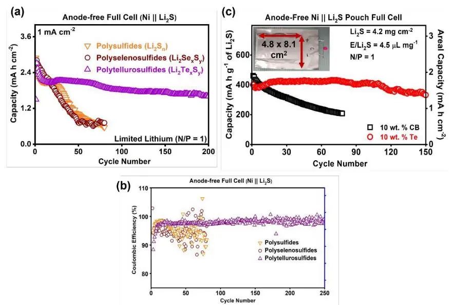 Arumugam Manthiram最新EES: 揭示可充电电池中硫属元素原位取代多硫化物的影响