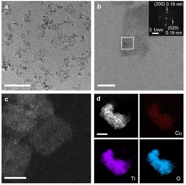 催化顶刊集锦：Angew.、JACS、Chem、AM、ACS Catal.、ACS Nano、Nano Lett.等成果