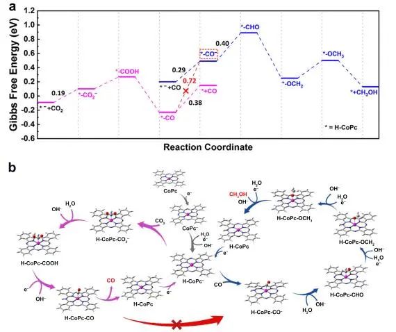 Nature子刊：原位光谱立大功！揭示CO/CO2电还原制甲醇中单原子中心固有结构特征