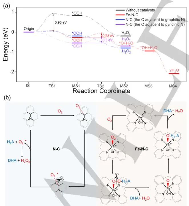 东南大学张袁健/沈艳飞Angew.：Fe-N-C纳米酶的Fe浸出和氧还原选择性研究