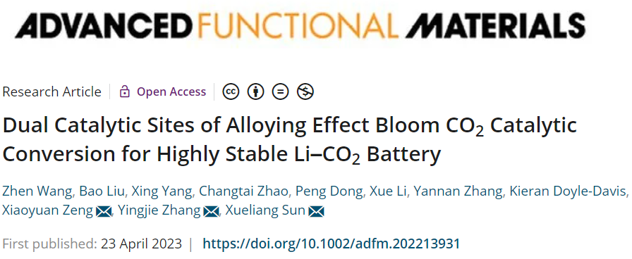 ​张英杰/曾晓苑/孙学良AFM：IrRu/N-CNT助力高稳定性Li-CO2电池