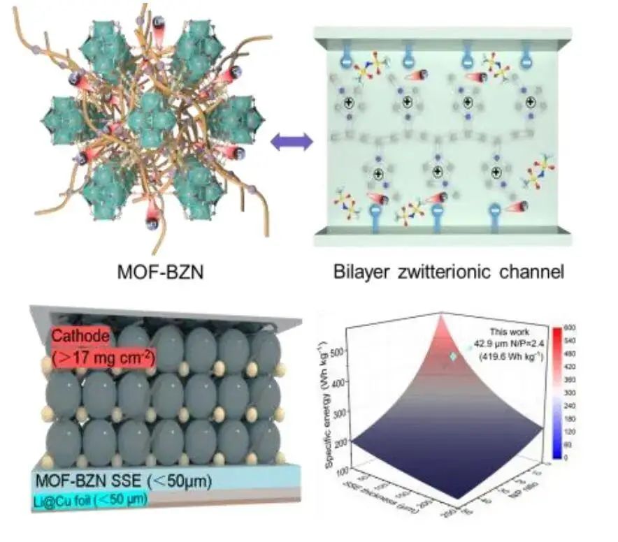 黄少铭教授AM：锂金属电池中选择性全固态超离子传导双层两性离子金属有机框架