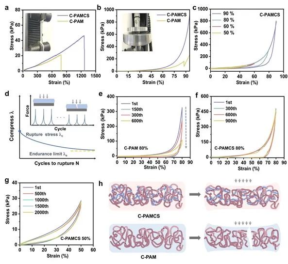 电池顶刊集锦：Nature子刊、AM、AEM、Angew.、AFM、Matter等成果！