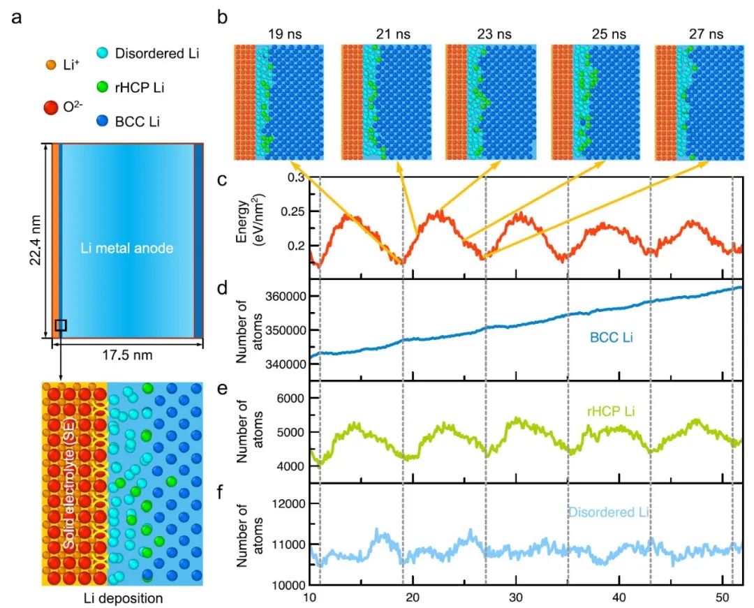 莫一非Nature子刊：分子动力学模拟揭示锂在固态界面结晶的原子路径