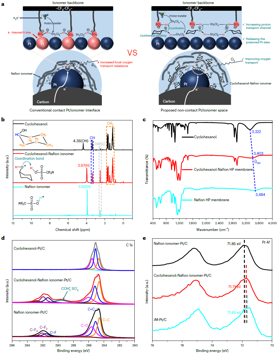 陈四国/魏子栋等，最新Nature Catalysis！