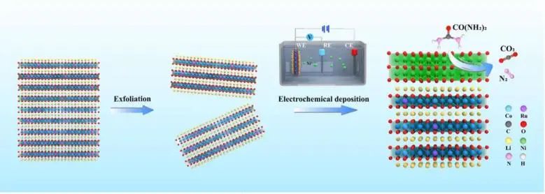 催化顶刊集锦：JACS、Angew、ACS Catal.、AFM、Adv. Sci.、Nano Lett.、Small等