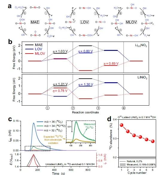 张林娟团队，最新Nature子刊！